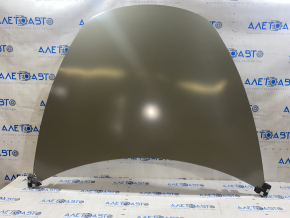 Tesla Model 3 18- Naked Hood