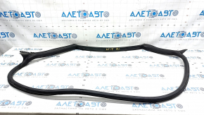 Door seal rear left Audi A5 F5 17- 5D tear