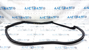 Door seal rear left Audi A5 F5 17- 5D tear