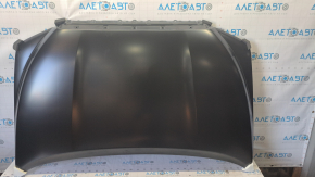 Naked hood Toyota Sequoia 08-16