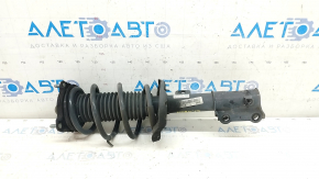 Shock absorber strut assembly front right Kia Niro 17-19 HEV under R18