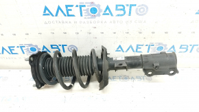 Shock absorber strut assembly front left Kia Niro 17-19 HEV under R18
