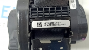 Tesla Model 3 Driver's Seat Belt 18- Without Tensioner Black, Shot, Dry Cleanable