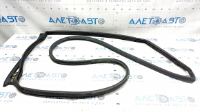 Door seal rear right Chevrolet Bolt EV 17-23