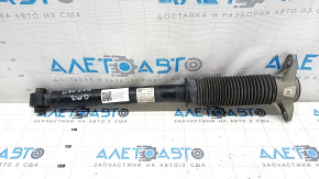 Tesla Model 3 18- RWD rear left shock absorber dented