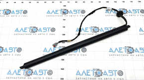 Shock absorber tailgate left Ford Escape MK4 20-23 electric