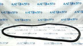 Door seal rear right Chevrolet Bolt EV 17-23