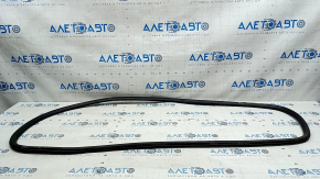 Door seal rear left Chevrolet Bolt EV 17-23
