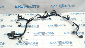 Ford Escape MK4 23- Tailgate Wiring