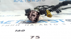 Ford Escape MK4 23- Tailgate Wiring