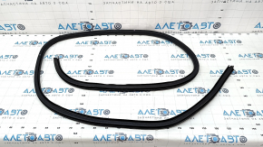 Door seal front right Ford Escape MK4 22-