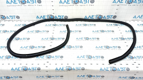 Door seal rear left Ford Escape MK4 22-