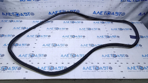 The door seal, front right, Audi A4 B8 08-16 is torn