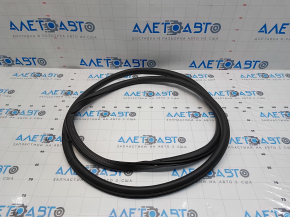 Door seal front left Ford Fusion mk5 13-20