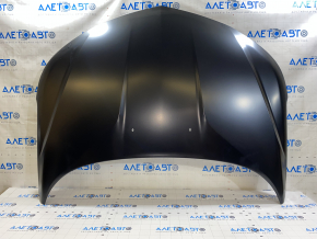 Naked hood Chevrolet Volt 16 - aluminum
