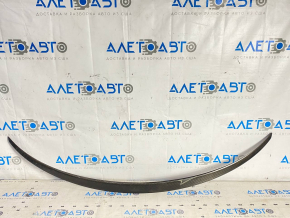 Tesla Model Y 20 trunk door spoiler - carbon, varnish swelled