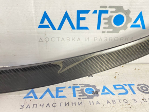 Tesla Model Y 20 trunk door spoiler - carbon, varnish swelled