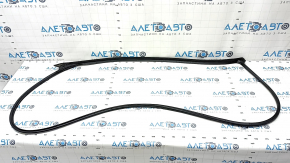 Front left door seal Kia Niro 23-