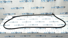 Front right door seal Kia Niro 23-