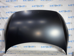 Hood bare Hyundai Ioniq 5 22- aluminum