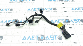 Kia Niro 23- HEV Fuel Injector Wiring