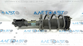 Shock absorber strut assembly front left Kia Niro 23- HEV, PHEV under R18