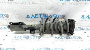 Shock absorber strut assembly front right Kia Niro 23- HEV, PHEV under R18