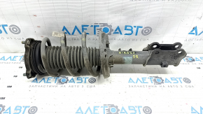 Shock absorber strut assembly front right Kia Niro 23- HEV, PHEV under R18