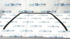 Ford Edge 15-18 Hood Seal