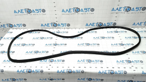 Ford Edge 15-24 Rear Left Door Seal