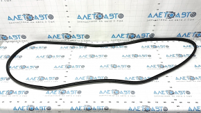 Ford Edge 15-24 Rear Left Door Seal