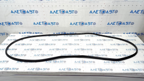 Ford Edge 15-24 Front Right Door Seal