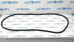 Ford Edge 15-24 Front Right Door Seal