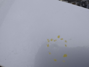 Metal roof Subaru Impreza WRX GH 09-14 5d under hatch, on body, bumps, dented