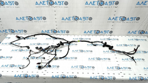 Tesla Model S 12-20 Type 1 Front Left Door Wiring