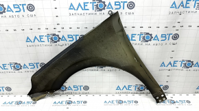 Front right wing Hyundai Ioniq 17-22, black NKA