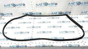Rear left door seal Hyundai Ioniq 17-22