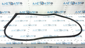 Rear left door seal Hyundai Ioniq 17-22