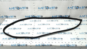 Door seal front right Hyundai Ioniq 17-22 black, worn