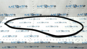 Door seal front right Hyundai Ioniq 17-22 black, worn