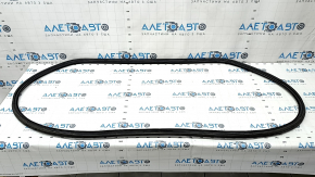 Rubber seal for the tailgate Hyundai Ioniq 17-22