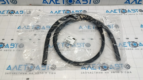 Front hood seal BMW 3 G20 19- on bumper OEM
