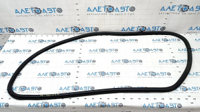Door seal front left Ford Fusion mk5 13-20 worn