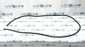 Door seal rear left Audi A6 C8 19-