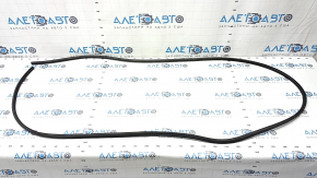 Front right door seal Audi A6 C8 19-