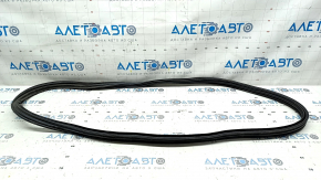 Ford Mustang mk6 15-coupe trunk lid seal