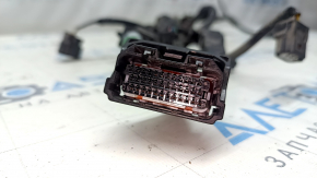 Wiring Automatic Transmission Honda CRV 23- HEV