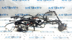 Tesla Model 3 18- AWD Engine Bay Wiring