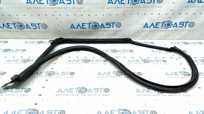 Door Seal Rear Right Tesla Model S 12-20