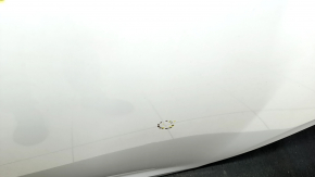 Door assembly rear left Honda Insight 19-22 white NH-788P, butt